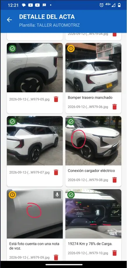 Cuadrícula de miniaturas de evidencias en BINACAM, cada una con su etiqueta de severidad y un pie descriptivo